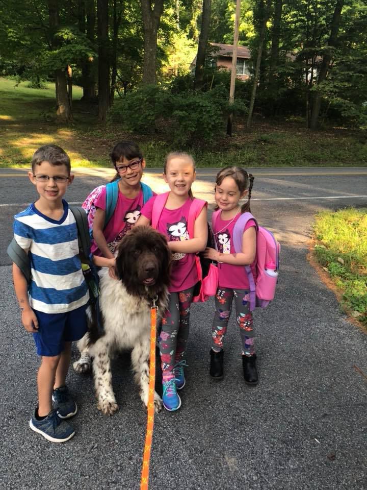 Queensbury Elementary